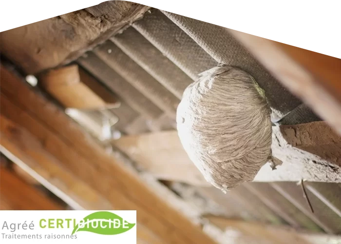 Ramoneur Fumiste à Corcoué-sur-Logne